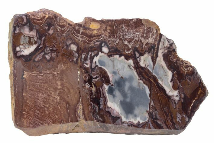 Polished Outback Jasper - Western Australia #240021